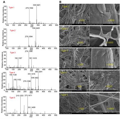 Direct adsorption sampling and ambient mass spectrometry analysis of tobacco smoke with porous paper strips